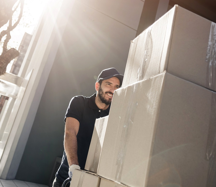 packing and moving services